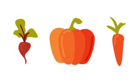 Beetroot, pumpkin and carrot. Fresh farm vegetables cartoon vector illustrationのイラスト素材