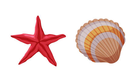 Seashell and Starfish as Travel and Tourism Attribute Vector Setのイラスト素材