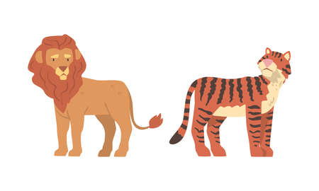 Lion with Mane and Striped Tiger as Wild African Animal Living in Savannah Vector Setのイラスト素材
