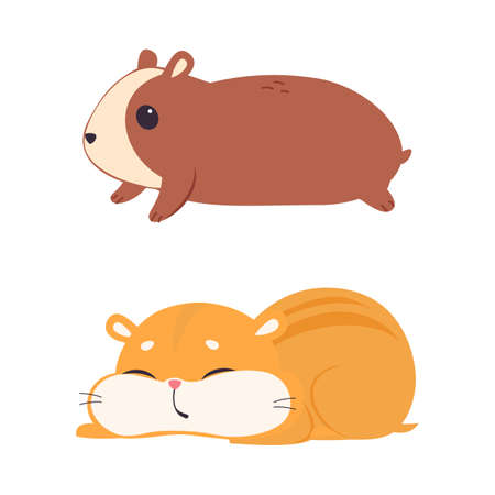 Cute Hamster Character with tough Body Lying and Sleeping Vector Setのイラスト素材