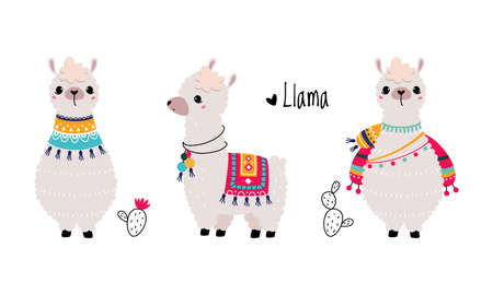 Pretty Wooly Llama or Alpaca Wearing Knitted Blanket Standing Vector Setのイラスト素材