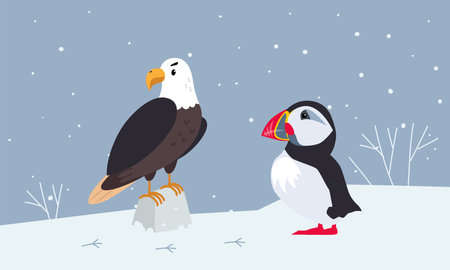 Set of cute wild polar animals. Puffin and eider marine birds vector illustrationのイラスト素材