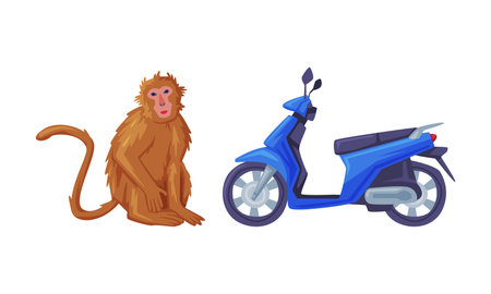 Brown Sitting Monkey and Motor Scooter as Bali Traditional Cultural Attribute Vector Setのイラスト素材