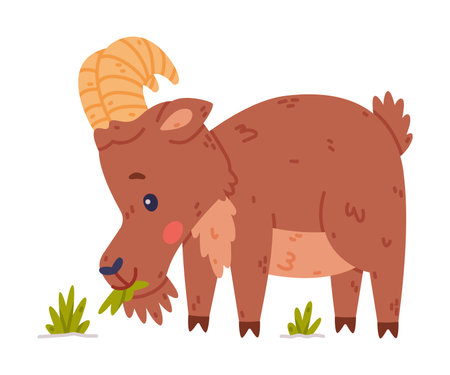 Urial Character as Wild Mountain Sheep with Horns Chewing Grass Vector Illustrationのイラスト素材
