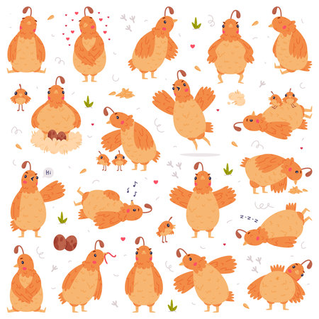 Quail Bird with Crest and Feathers Engaged in Different Activity Vector Setのイラスト素材