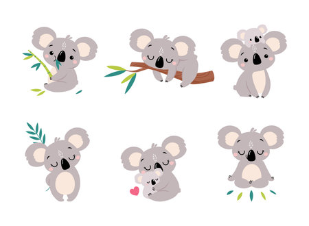 Koala Bear as Australian Animal on Eucalyptus Branch and with Baby Vector Setのイラスト素材