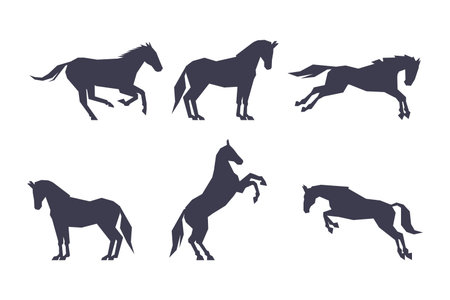 Black Silhouettes of Running Horses for Equestrian Sport Vector Setのイラスト素材