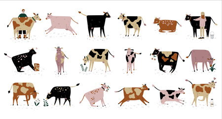 Set of cows. Dairy cattle and farmers caring of farm animals cartoon vector illustrationのイラスト素材
