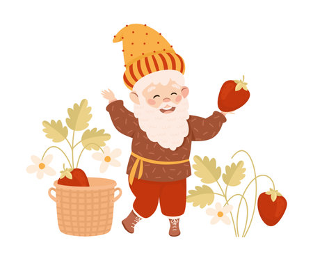 Cute garden gnome picking strawberries. Happy smiling fairy tale bearded dwarf elf character cartoon vector illustrationのイラスト素材