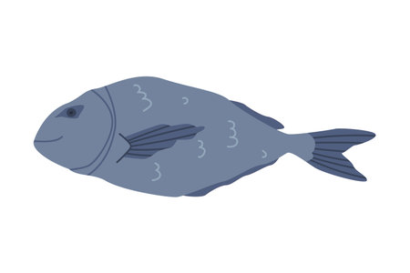 Carp Fish as Traditional Istanbul Symbol Vector Illustrationの写真素材