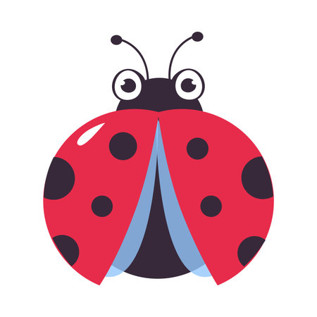 Cute winged ladybug. Little ladybird insect mascot cartoon vector illustrationのイラスト素材
