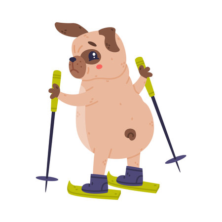 Funny Pug Dog Character with Wrinkly Face Skiing Vector Illustrationのイラスト素材