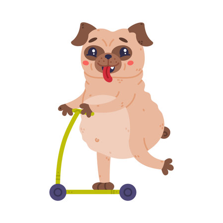 Funny Pug Dog Character with Wrinkly Face Riding Scooter Vector Illustrationのイラスト素材