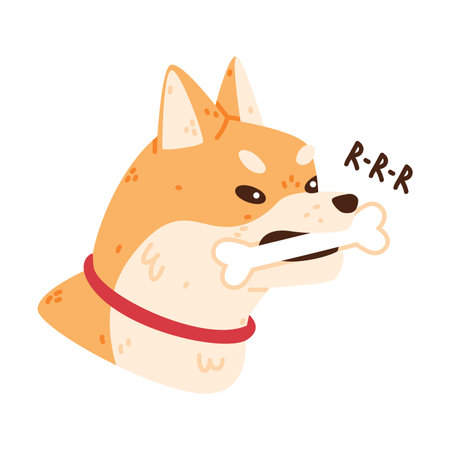 Akita Inu Dog Head with Bone Gnar as Domestic Animal or Pet Vector Illustrationのイラスト素材