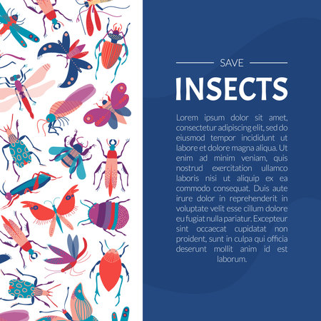 Butterfly, Bug and Beetle Banner Design Vector Templateのイラスト素材