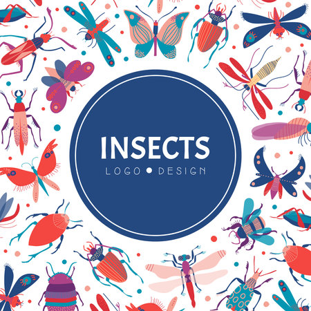 Butterfly, Bug and Beetle Banner Design Vector Templateのイラスト素材