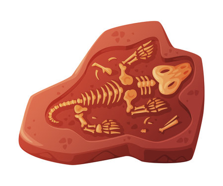 Fossil Obtained by Digging Rested in Soil or Ground Vector Illustrationのイラスト素材