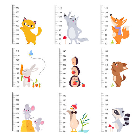 Growth Rulers with Cute Animal at Kids Height Meter Vector Setのイラスト素材