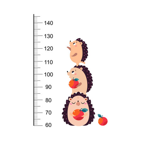 Growth Ruler with Cute Hedgehog Animal at Kids Height Meter Vector Illustrationのイラスト素材