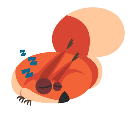 Cute Squirrel with Bushy Tail Sleeping Cuddle Vector Illustrationのイラスト素材