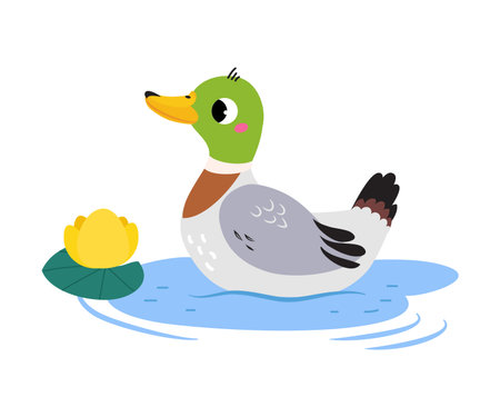 Swamp with Swimming Duck or Mallard as Waterfowl Vector Illustrationのイラスト素材
