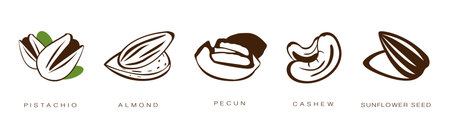 Seed and Nuts Brown Flat Icon with Name and Inscription Vector Setのイラスト素材