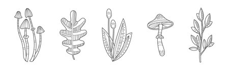 Forest and Woodland Nature Element and Plant Vector Setのイラスト素材