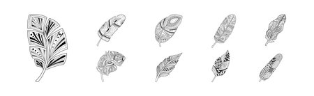 Feather Artistically Drawn Stylized Element Vector Setのイラスト素材