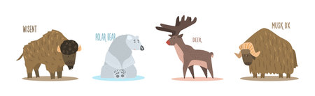 Funny Wild Polar Animal as Fauna of Arctic Vector Setのイラスト素材