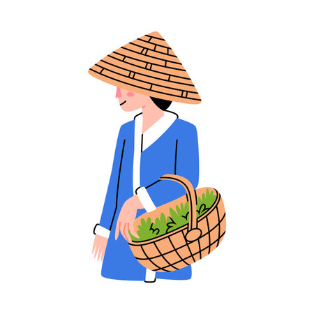 Tea Harvest with Asian Woman in Conical Hat Gather Green Leaf in Basket on Plantation Vector Illustrationのイラスト素材