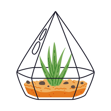 Home Florarium with Plant in Glass Transparent Vessel Vector Illustrationのイラスト素材