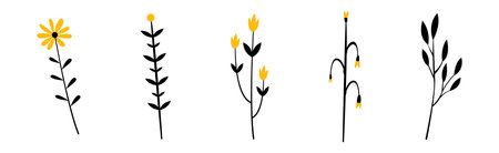 Black Herbs and Twig with Stem and Stalk Vector Setのイラスト素材