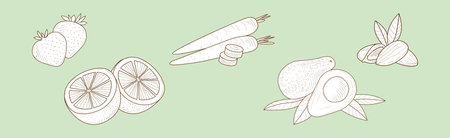 Fresh Food for Detox Cocktail Hand Drawn Vector Setのイラスト素材