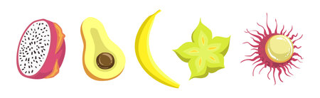 Tropical Exotic Fruit and Ripe Juicy Food Vector Illustration Setのイラスト素材