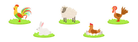 Farm Livestock and Domestic Yard Animal Vector Setのイラスト素材