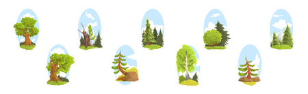 Summer Tree Nature Landscape with Green Forest Vector Setのイラスト素材