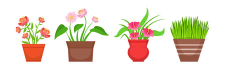 Blooming Flower Bouquet and Floral Bunch Vector Setのイラスト素材