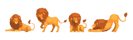 Lion Animal with Majestic Mane in Different Pose Vector Setのイラスト素材