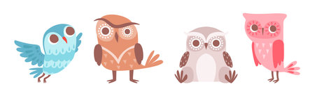 Cute Owl Bird with Feather and Wing Vector Setのイラスト素材