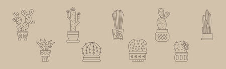 Cactus Succulent Plant Grow in Pot Line Vector Setのイラスト素材