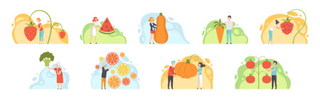 People Characters Harvesting Huge Vegetables and Fruits from Garden Vector Setのイラスト素材