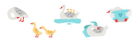 Grey Goose Character in Different Activity Vector Setのイラスト素材