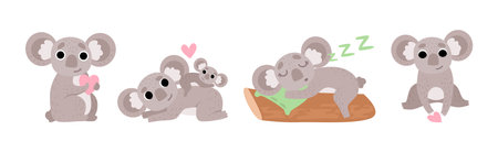 Adorable Koala Grey Animal in Various Actions Vector Setのイラスト素材