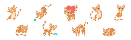 Cat Pet and Domestic Animal with Cute Snout Vector Setのイラスト素材
