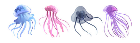 Jellyfish and Sea Jelly as Free-swimming Marine Animal Vector Setのイラスト素材