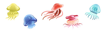 Jellyfish and Sea Jelly as Free-swimming Marine Animal Vector Setのイラスト素材