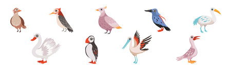 Different Bird and Avian Species with Beak and Wing Vector Setのイラスト素材