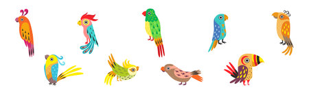 Funny Tropical Parrot with Bright Feathered Wings Vector Setのイラスト素材
