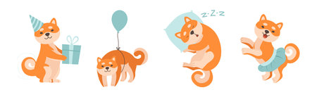 Shiba Inu Dog Character in Different Activity Vector Setのイラスト素材