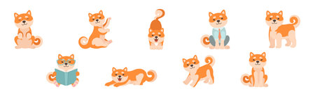 Shiba Inu Dog Character in Different Activity Vector Setのイラスト素材